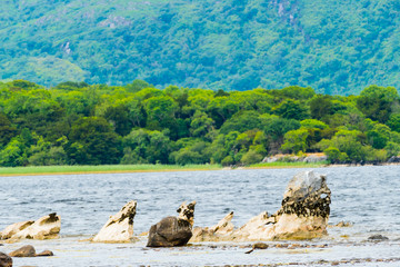 Rocks in the Lough Leane Felsen im Lough Leane
