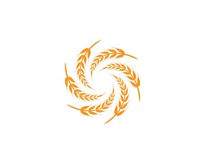 Fototapeta premium wheat Logo Template