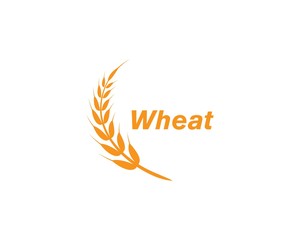 Fototapeta premium wheat Logo Template