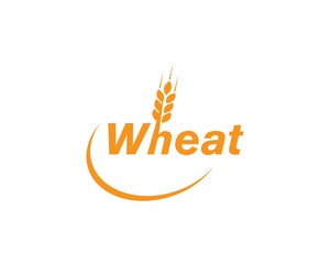 wheat Logo Template
