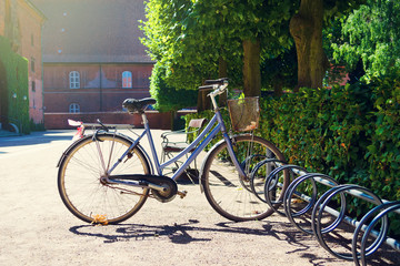 Fototapeta na wymiar Old bicycle in the parking lot, in a beautiful garden. Summer sunny day. Transpot. Bicycles.
