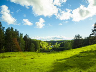 Obraz premium Summer landscape.