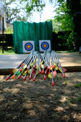 target with arrows