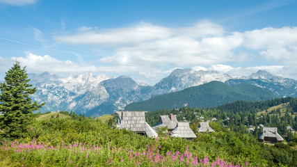 Fototapeta na wymiar Slovenia, view of Julian alps, small village, wood house