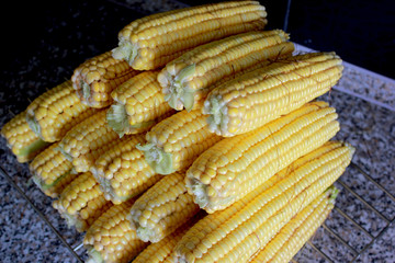 maize ripe yellow