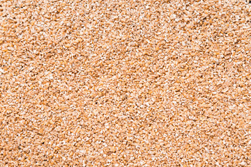 Barley seeds background