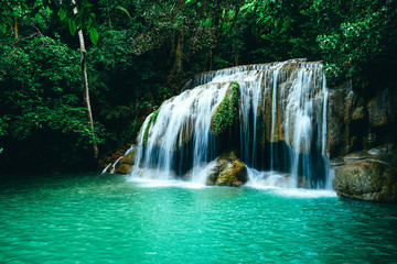beautiful waterfall in green forest