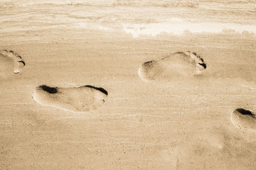 Adult footprints on wet white sandy coast. No people. Water not visible. Closeup horizontal view - 216523351