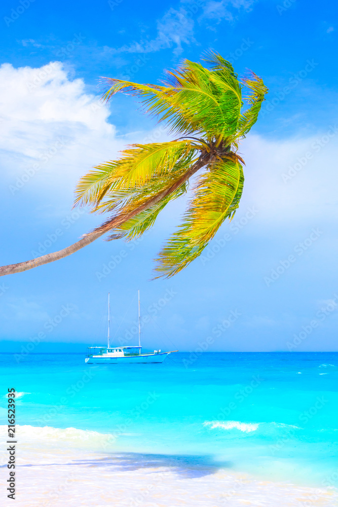 Poster Dream beach with palm trees on white sand and turquoise ocean