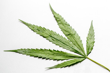 Background of Cannabis (Drugs), Analysis of Cannabis in laboratory.