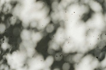 Abstract pale green wall texture with shadows