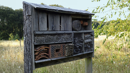 Maison à insectes