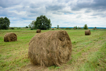 The hay is rounded up in the field