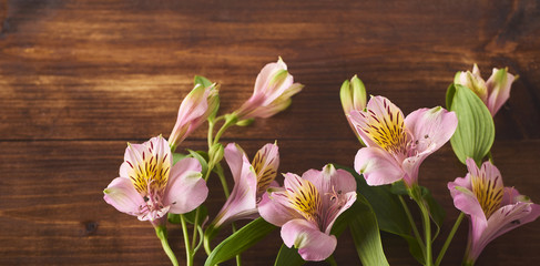 Fototapeta na wymiar Image of beautiful flowers on background