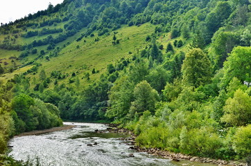 Fototapeta na wymiar Mountain river in the Ukrainian Carpathians