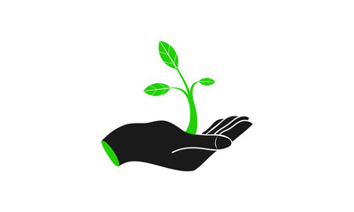 Hand Holding Plant | Growing Nature | Logo Vector 