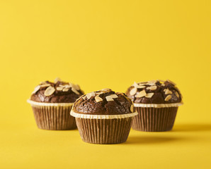 image of Delicious chocolate muffins