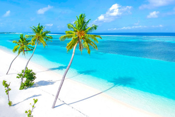 Palm trees on the sandy beach and turquoise ocean from above