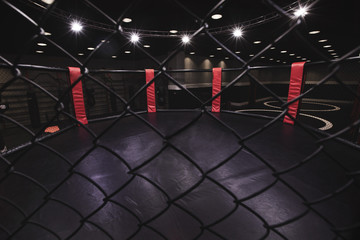 mma ring
