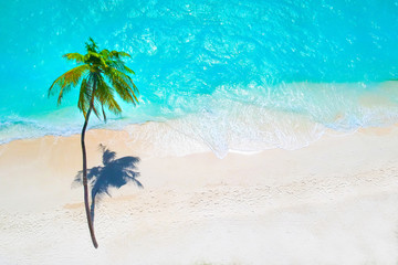 Palm trees on the sandy beach and turquoise ocean from above