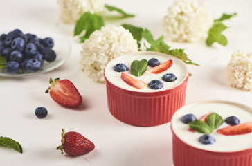 Homemade Greek yogurt or sour cream in a red bowl