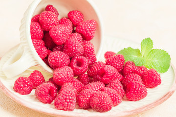 Ripe raspberries with green mint leaves in cup and saucer on pastel yellow background.