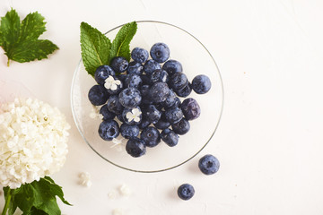 Blueberries in plate on white background