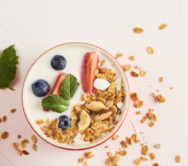 Homemade Greek yogurt or sour cream in a red bowl