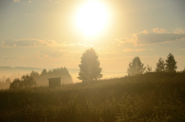 beautiful field landscape