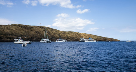 Molokini Crater