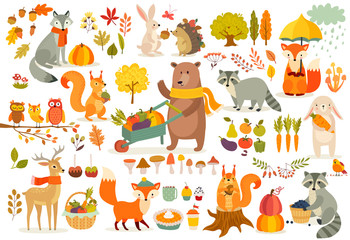 FAll theme set, forest Animals hand drawn style.