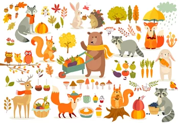 Herbst-Themenset, handgezeichneter Stil der Waldtiere. © avian