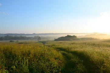 Fototapeta premium beautiful field landscape