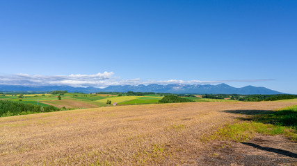Panoramic  view of Patchroad with golden rice field and mountain range in Biei