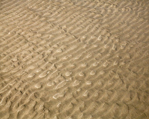 sand backgrounds and texture