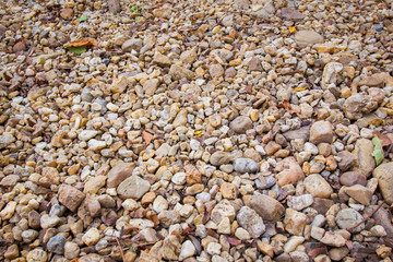 Natural small colorful stone on the floor in forest.