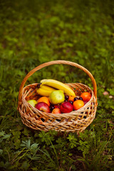 Basket with fruits on the lawn