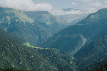 Obraz premium Kackar mountains with green forest landscapei n Rize,Turkey.