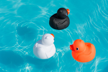 Three colorful rubber ducks, white, orange and black, swimming in the water in a paddling pool