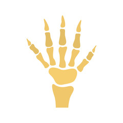 Human hand skeleton color vector icon. Flat design