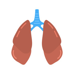Human lungs color flat icon. Flat design