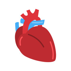 Human heart color vector icon. Flat design