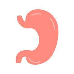 Human stomach color vector icon. Flat design