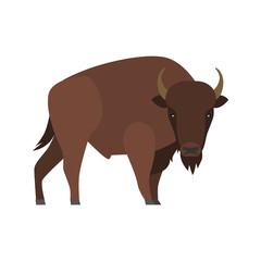 Bison color vector icon. Flat design