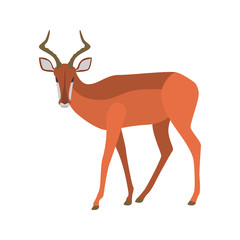 Impala color vector icon. Flat design