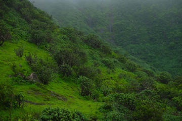 Fototapeta na wymiar Lush green monsoon nature landscape mountains, hills, Purandar, Pune, Maharashtra, India 
