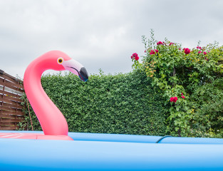 Flamingo Gartenpool Schrebergarten Sommer
