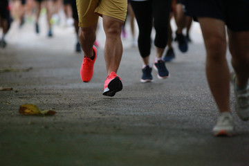 Fototapeta premium Group of people running race marathon