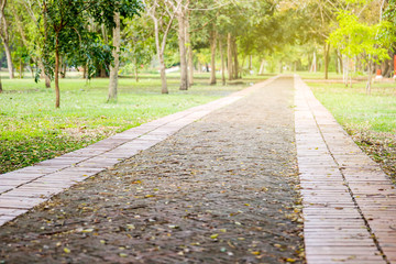 Walking track in public garden close up.