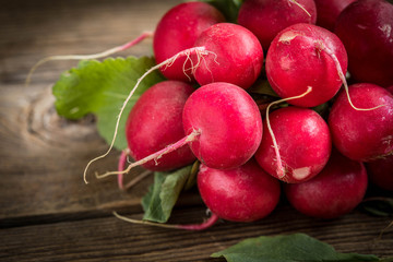 Large bunch of fresh radish.